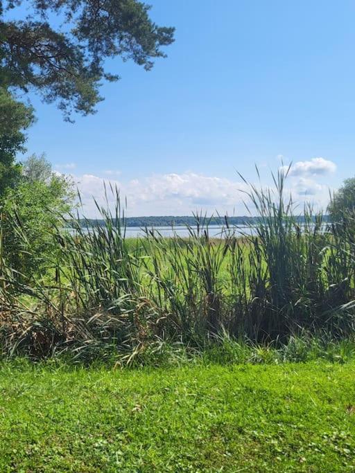 L'Oree Des Lacs, Maison De Village Tout Confort Radonvilliers Exteriör bild